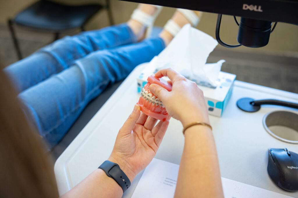 Team member examines orthodontic model with braces at desk